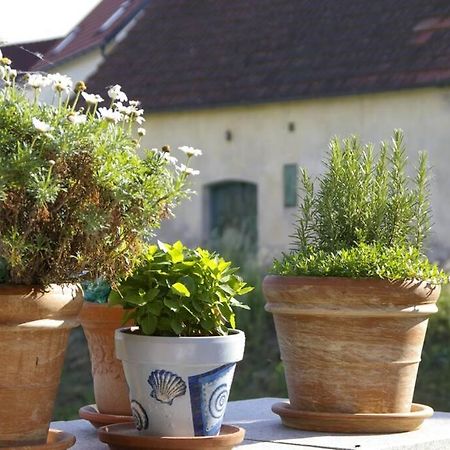 Ferienwohnung Sachsenberg Keine Monteure Hadersdorf am Kamp Kültér fotó